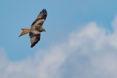 22.03.2026 - Landratsamt Fürstenfeldbruck