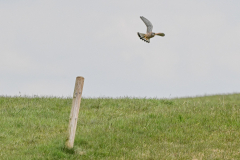 22.03.2026 - Landratsamt Fürstenfeldbruck