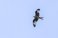 22.03.2026 - Landratsamt Fürstenfeldbruck