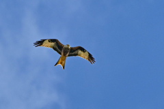 22.03.2026 - Landratsamt Fürstenfeldbruck