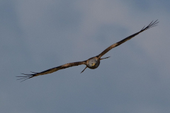 22.03.2026 - Landratsamt Fürstenfeldbruck