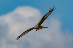 22.03.2026 - Landratsamt Fürstenfeldbruck