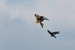 22.03.2026 - Landratsamt Fürstenfeldbruck
