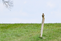 22.03.2026 - Landratsamt Fürstenfeldbruck
