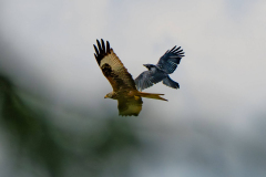 22.03.2026 - Landratsamt Fürstenfeldbruck