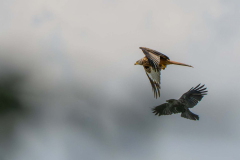 22.03.2026 - Landratsamt Fürstenfeldbruck